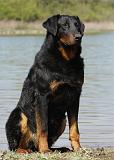 BEAUCERON 651